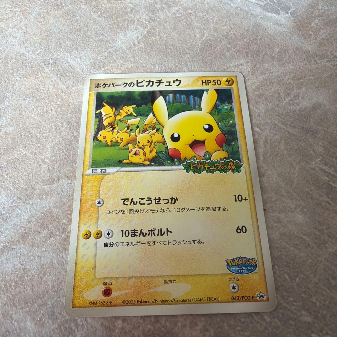 ポケパークのピカチュウ