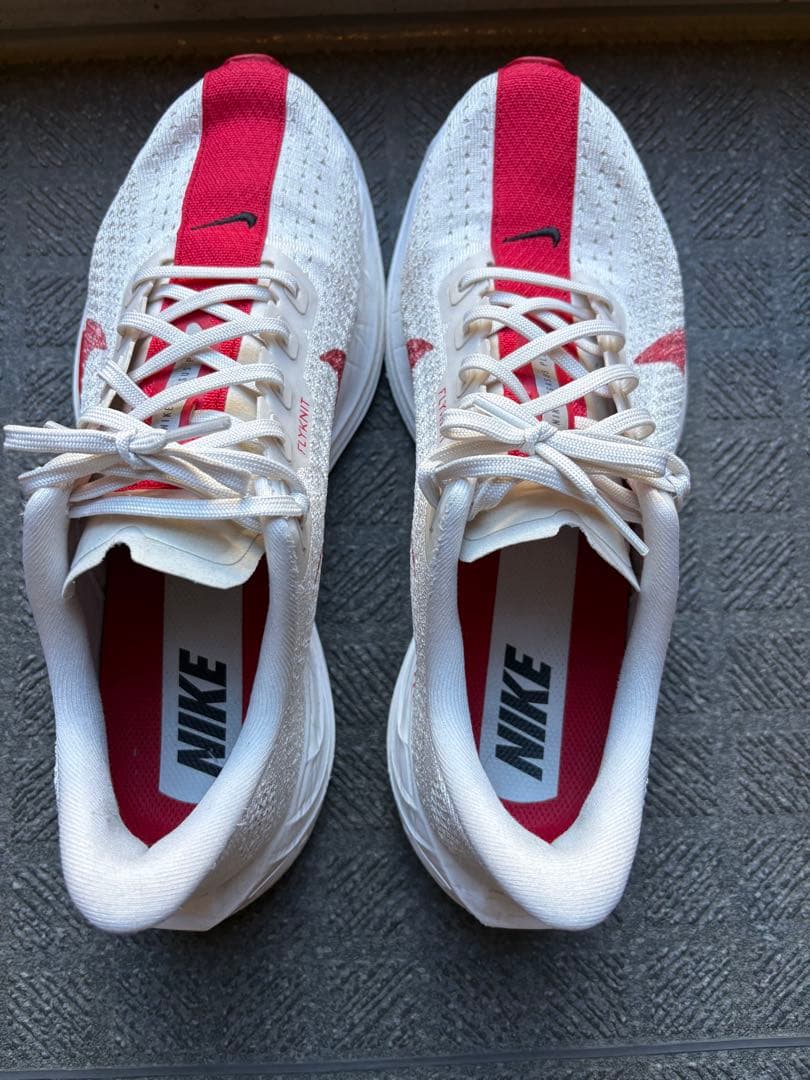 【26.5センチ】美品　Nike ペガサスプラス