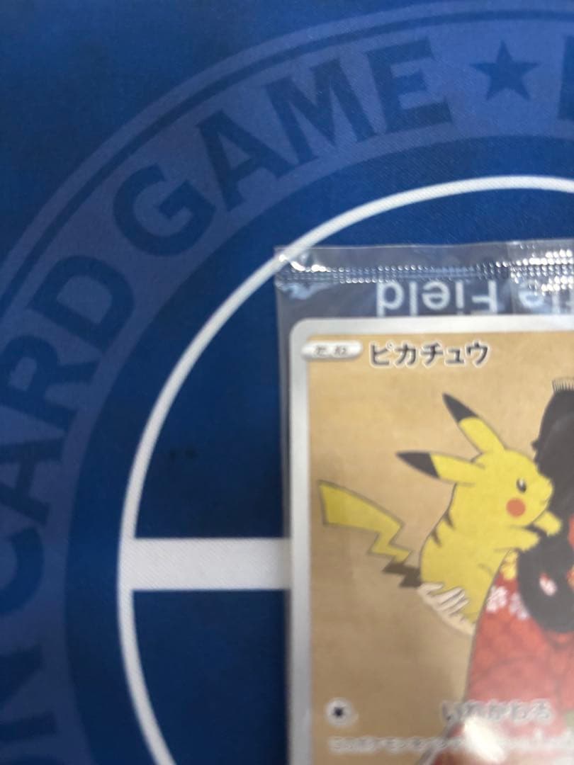 ポケモン切手box ポケモンカードゲーム　見返り美人•月に雁セット