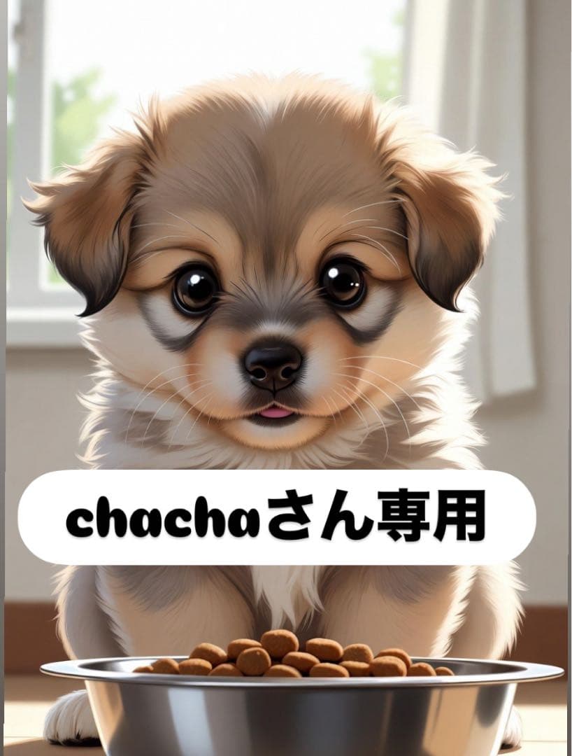 chachaさん専用