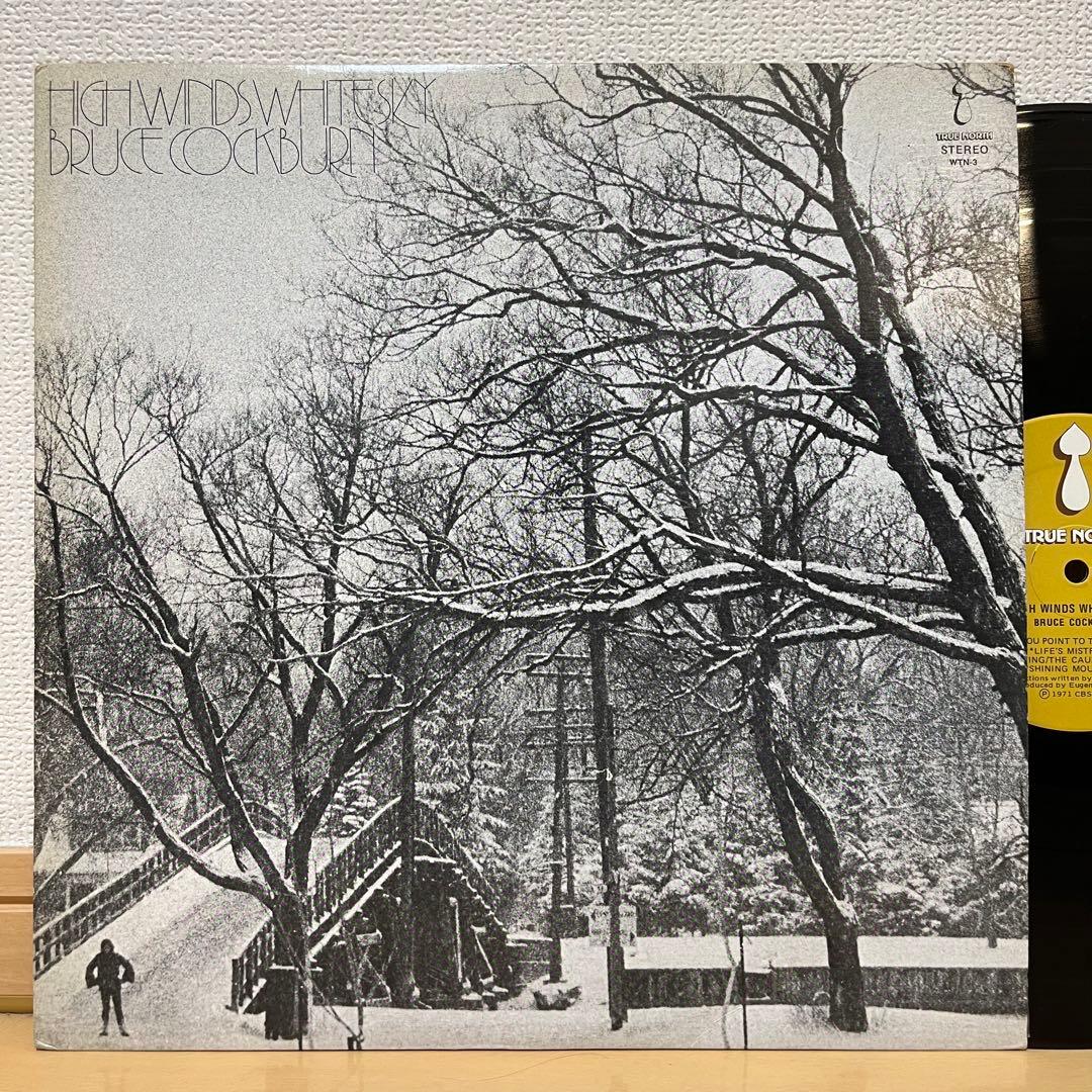 レコード SSW名盤 Bruce Cockburn フォーク レアグルーヴ LP