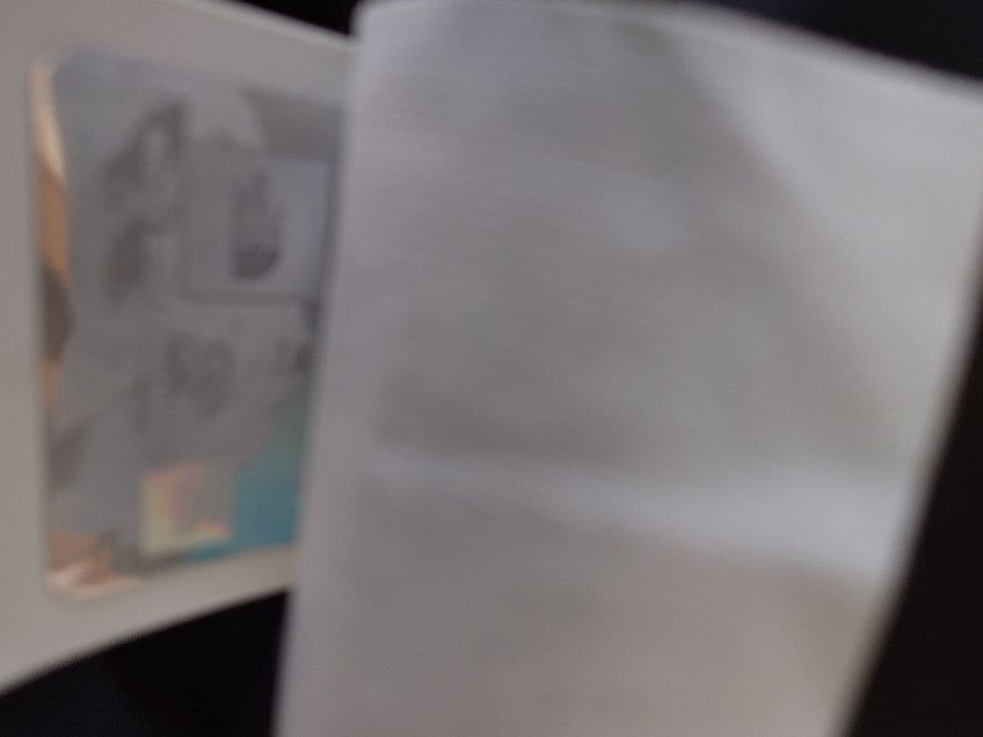 THE NORTH FACE ダウンベスト M ブラウン/ブラック