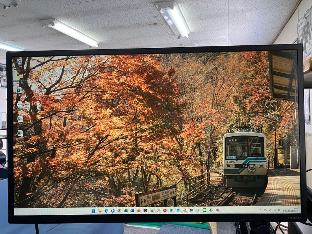 I-O DATA31.5インチEX-LD3151DB DP&HDMIケーブル付