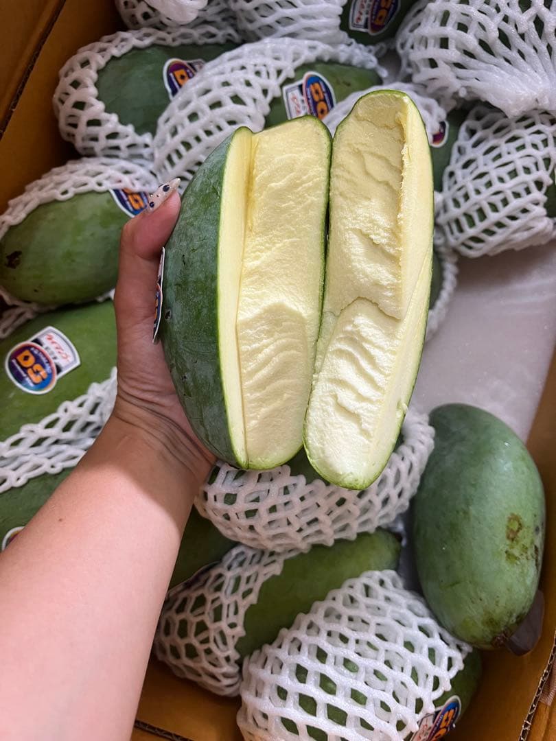 甘いグリーンマンゴー　12個　約5キロ　年末セール