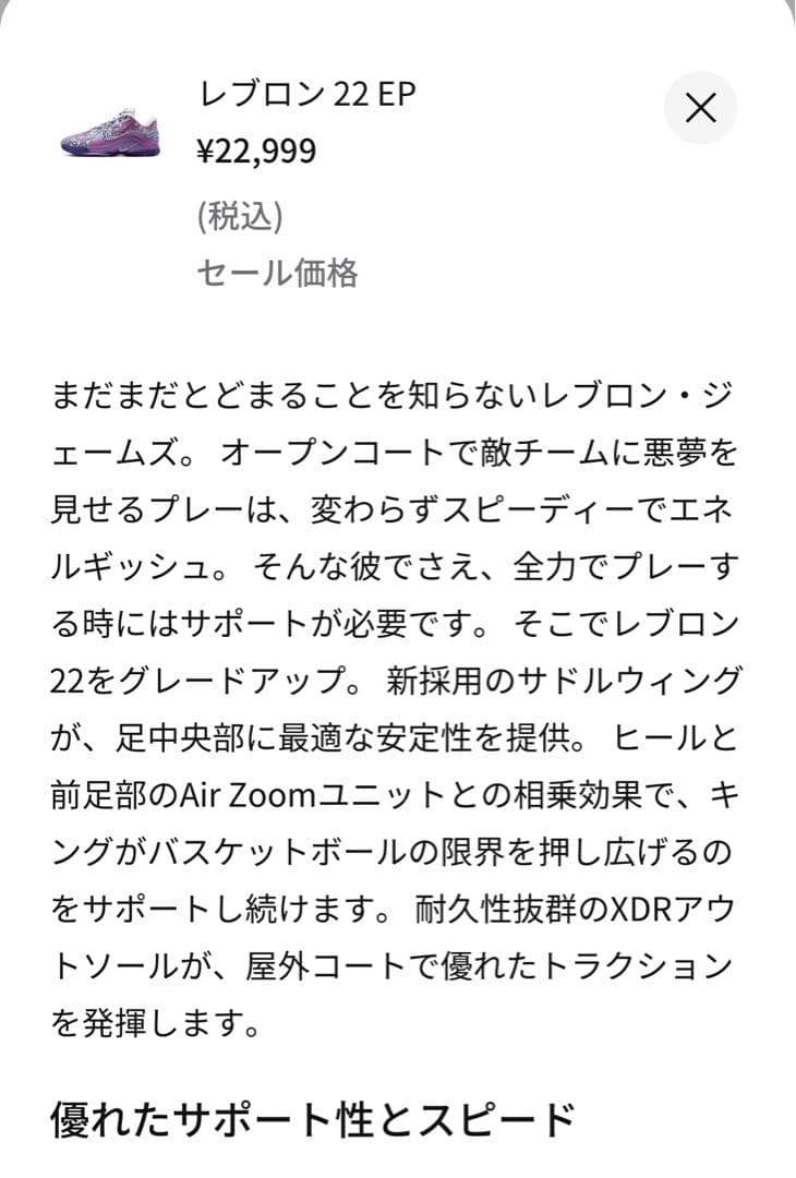 NIKE レブロン22 EP バスケットボールシューズ キング　祝い