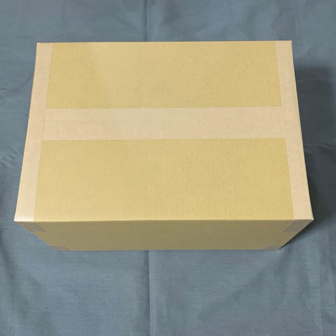 OSICA ダンジョンに出会いを求めるのは間違っているだろうかⅣ 1カートン