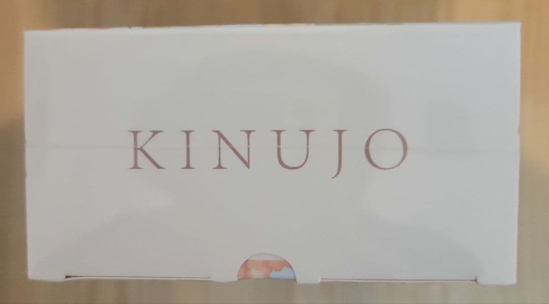 新品未開封KINUJO ストレートヘアアイロン　DS200