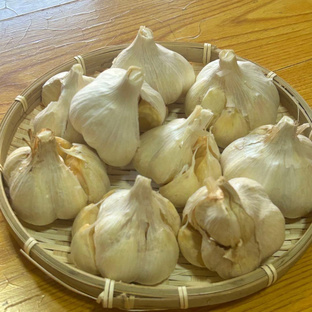 【お買い得セール】青森県 福地ホワイト にんにく L 10kg 　黒にんにく加工