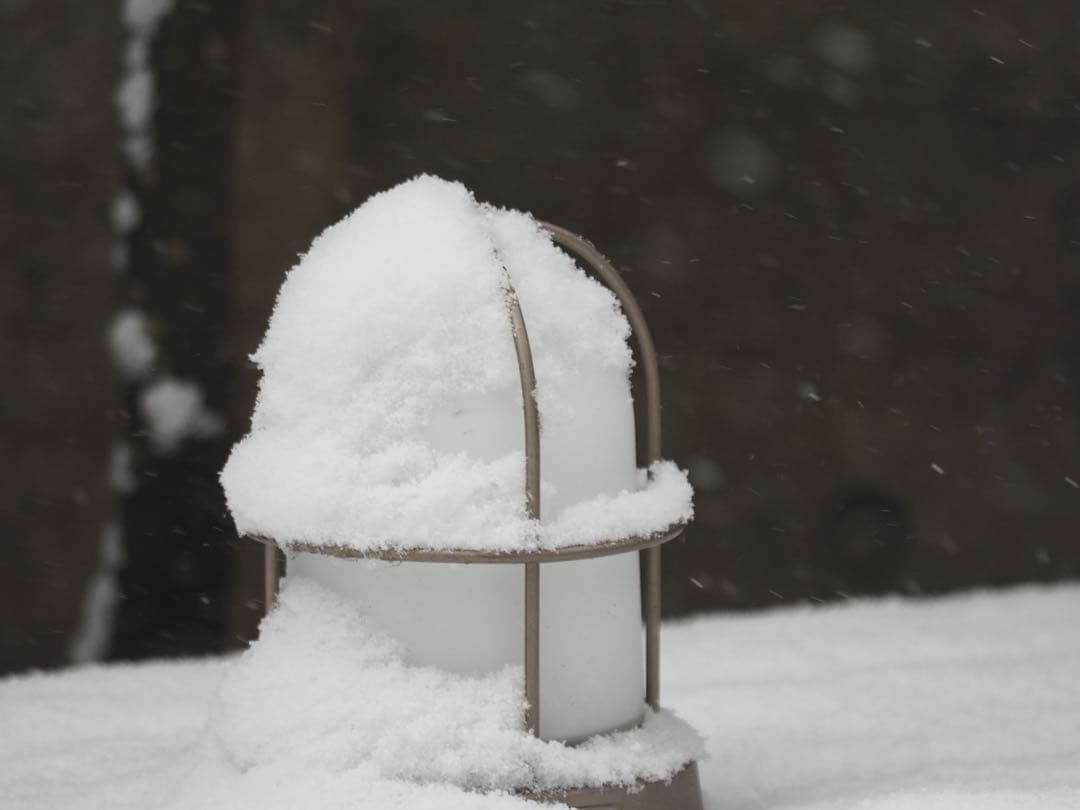 Olympus Zuiko Digital 50-200/2.8-3.5フード付