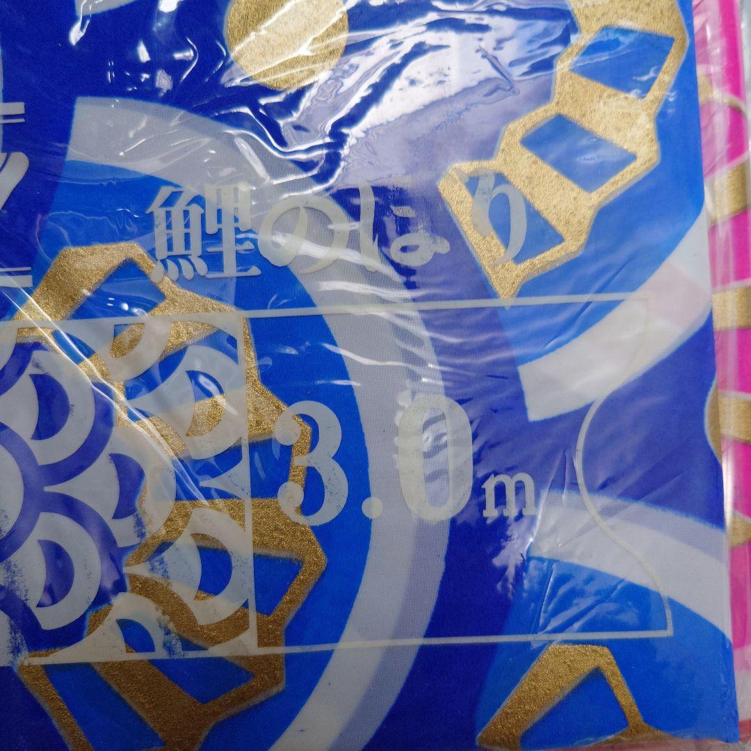 フジサワ鯉のぼり　ゴールデン鯉5m （吹き流し、黒、赤、青）