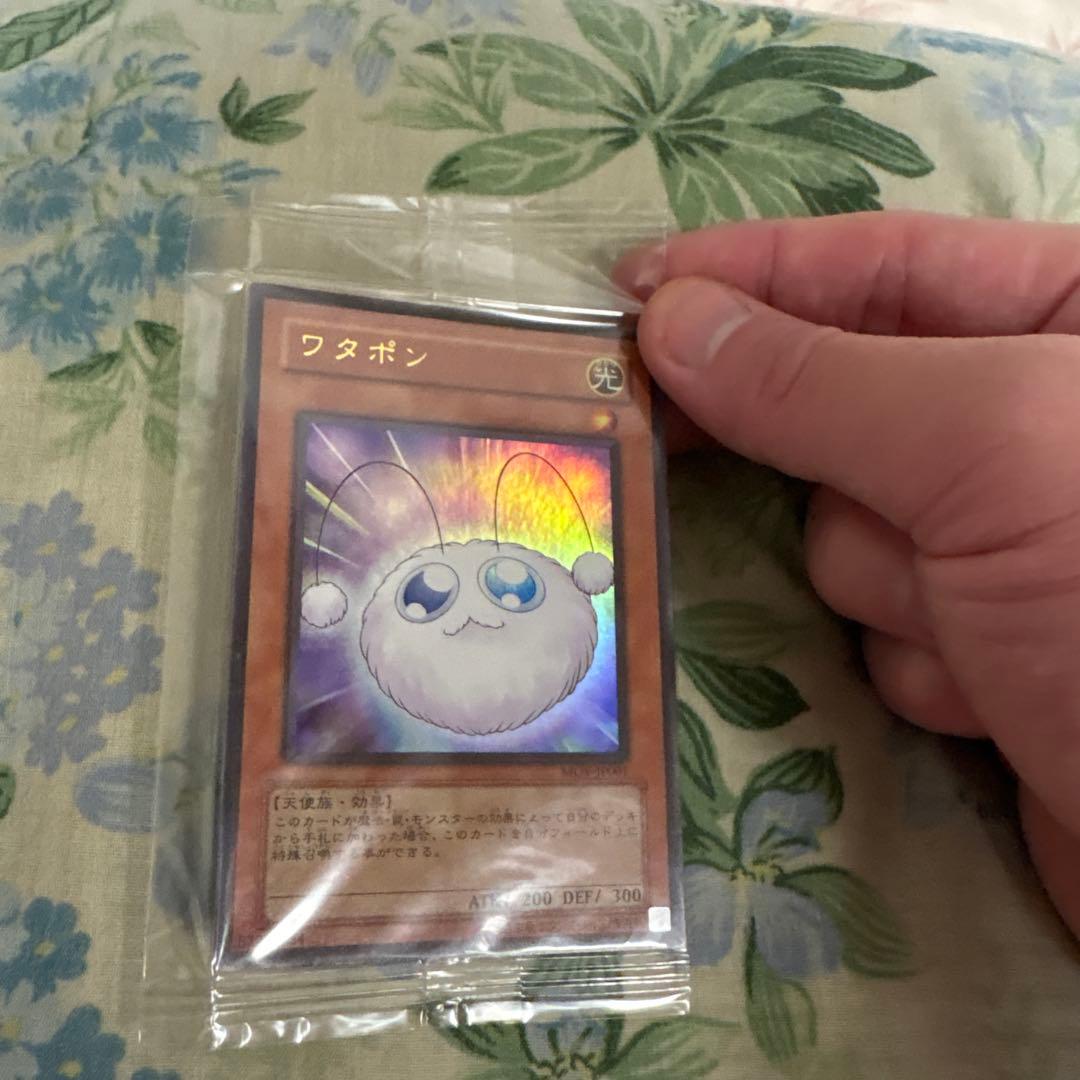 ワタポン　未開封