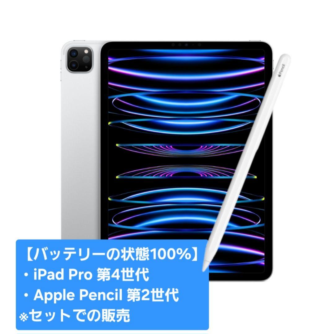 iPad Pro 11インチ 第4世代 /Apple Pencil 第2世代