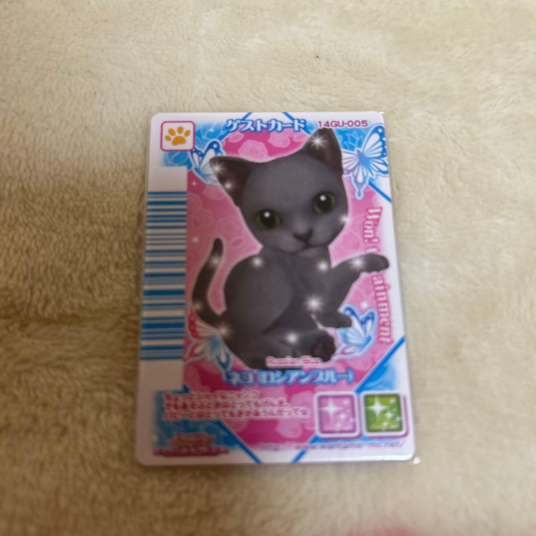 ワンタメ　カード　m＊プロフ必読様確認用