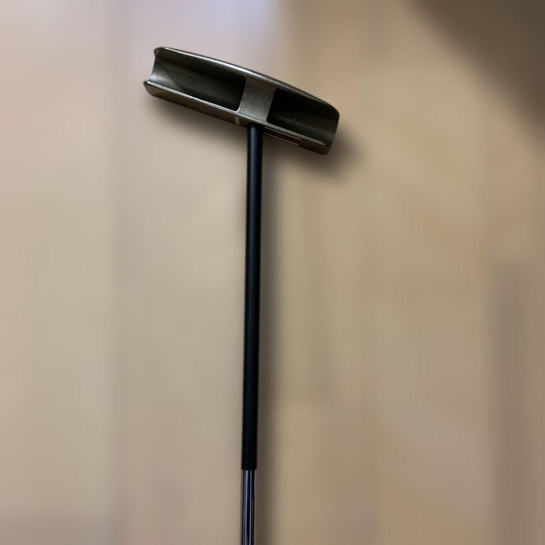 SeeMore FGP パター