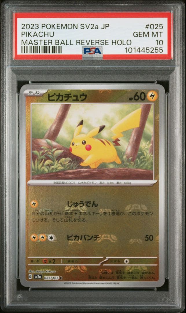 ピカチュウ ライチュウ マスボミラー　連番セット