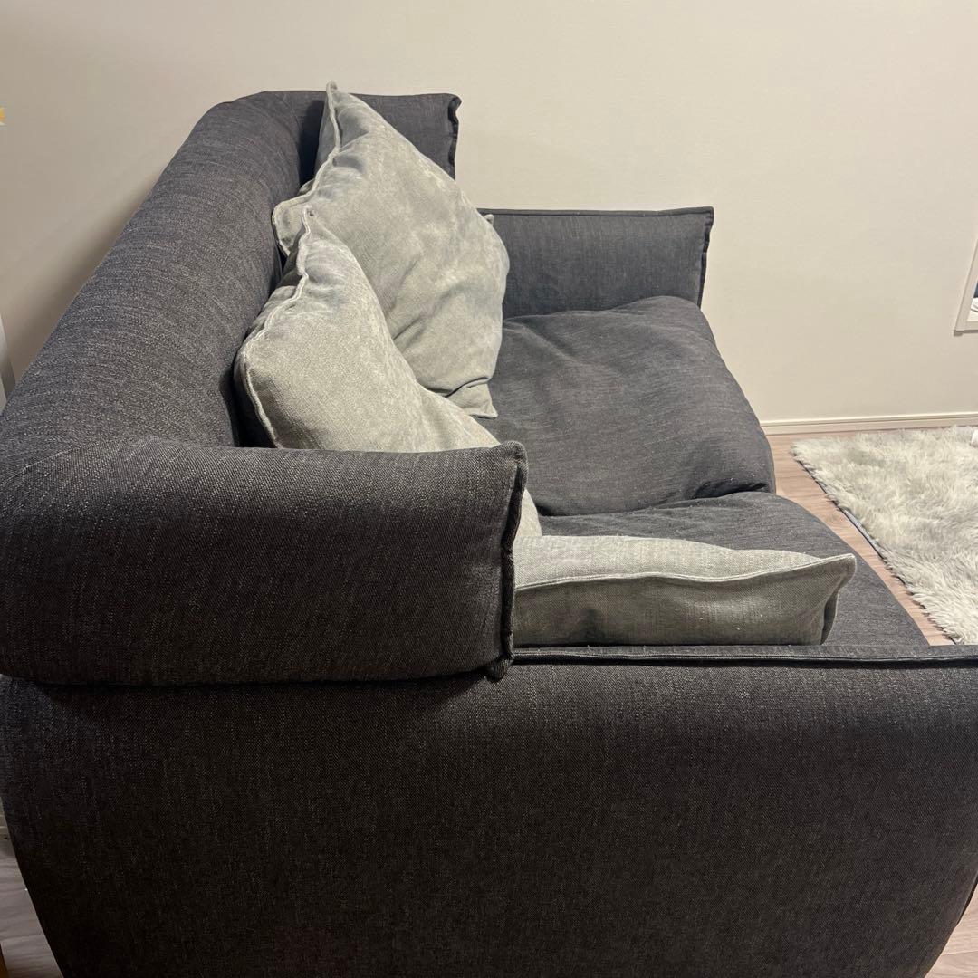 2人用布張りソファ (ソフティーナ DGY)