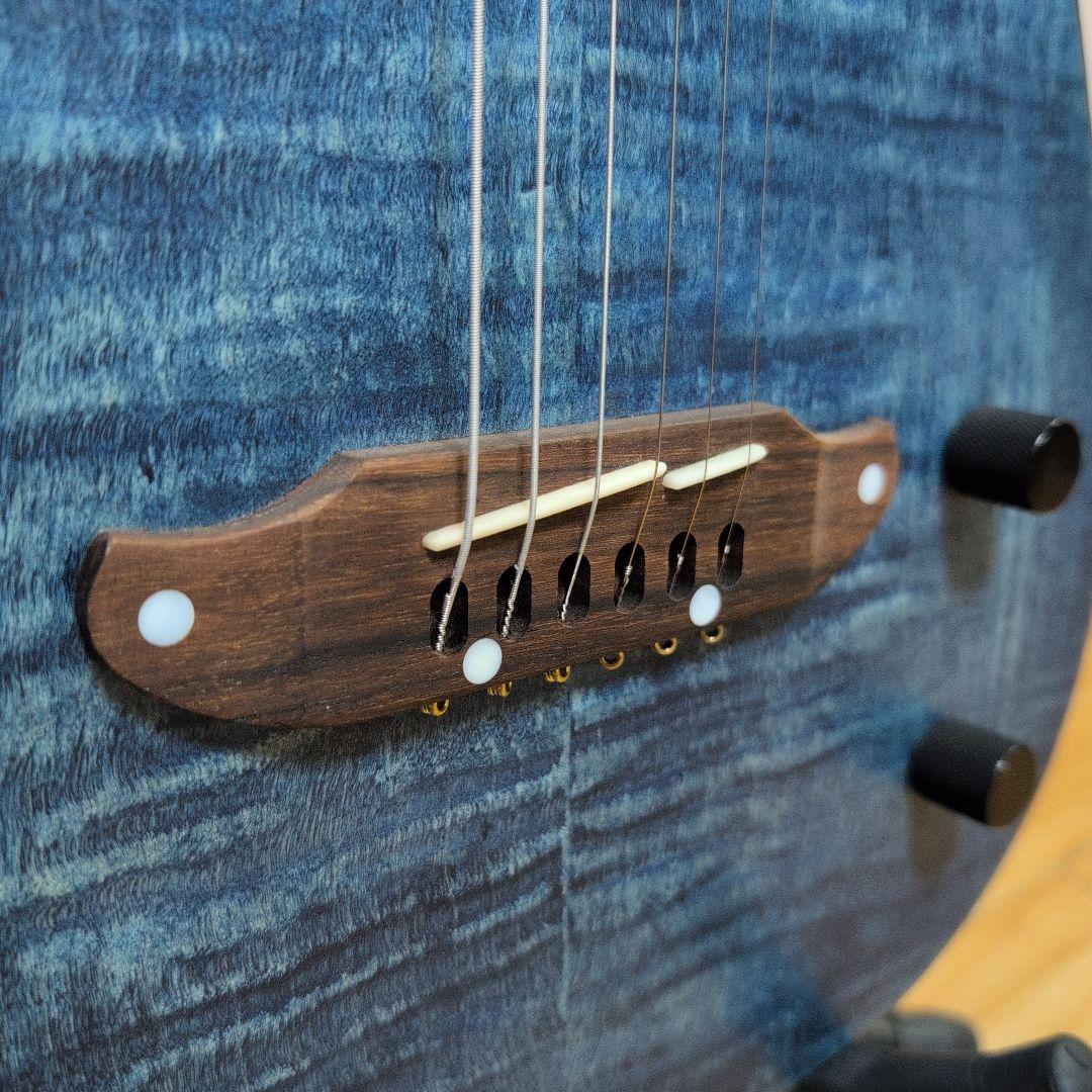 SCHECTER シェクター エレアコ