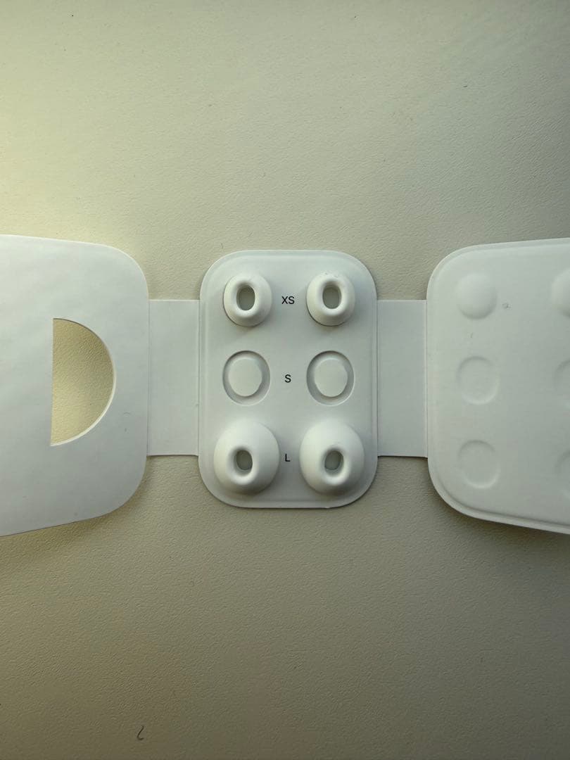 AirPodspro2 本体 イヤーチップ付き