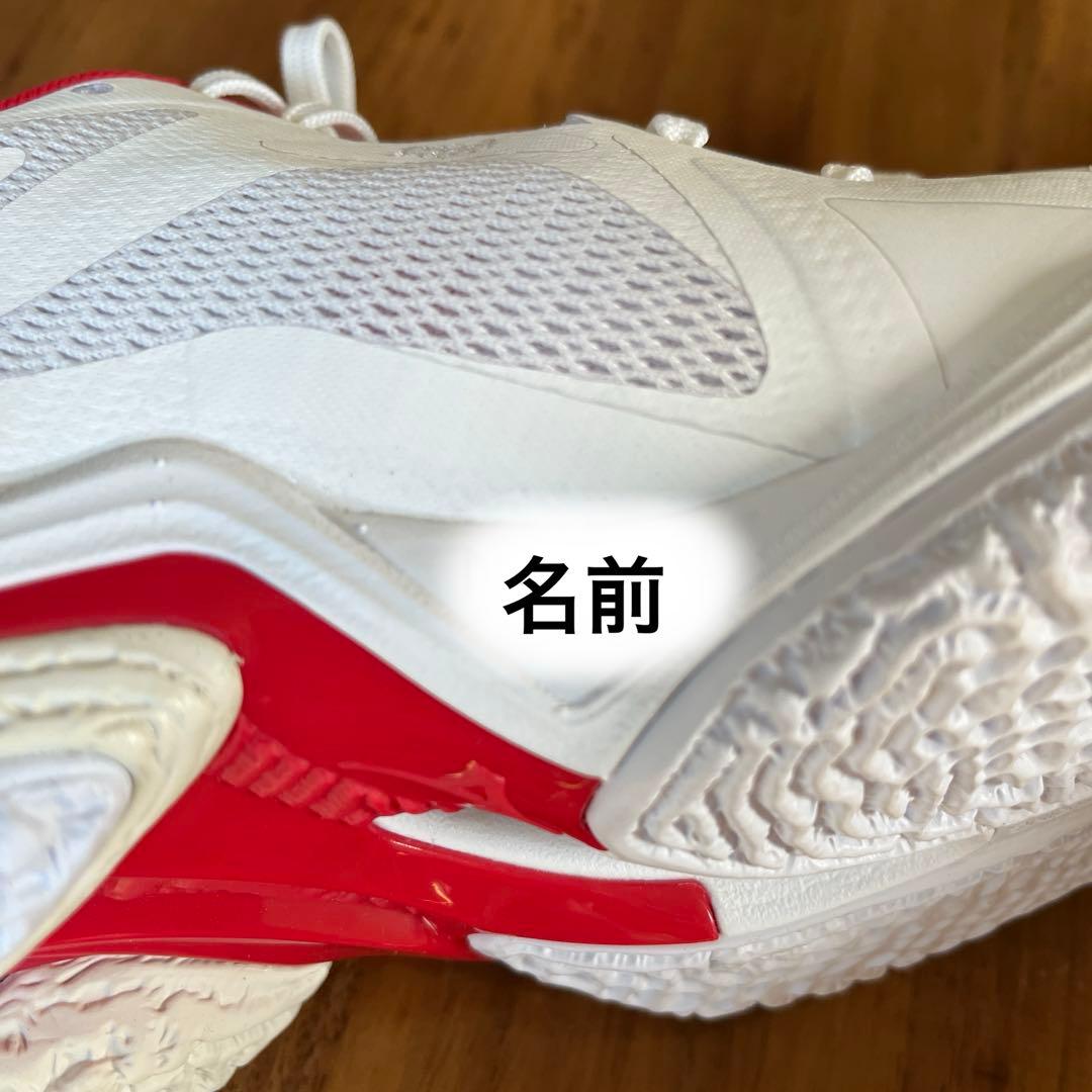 [ミズノ] バレーボールシューズ２４.５