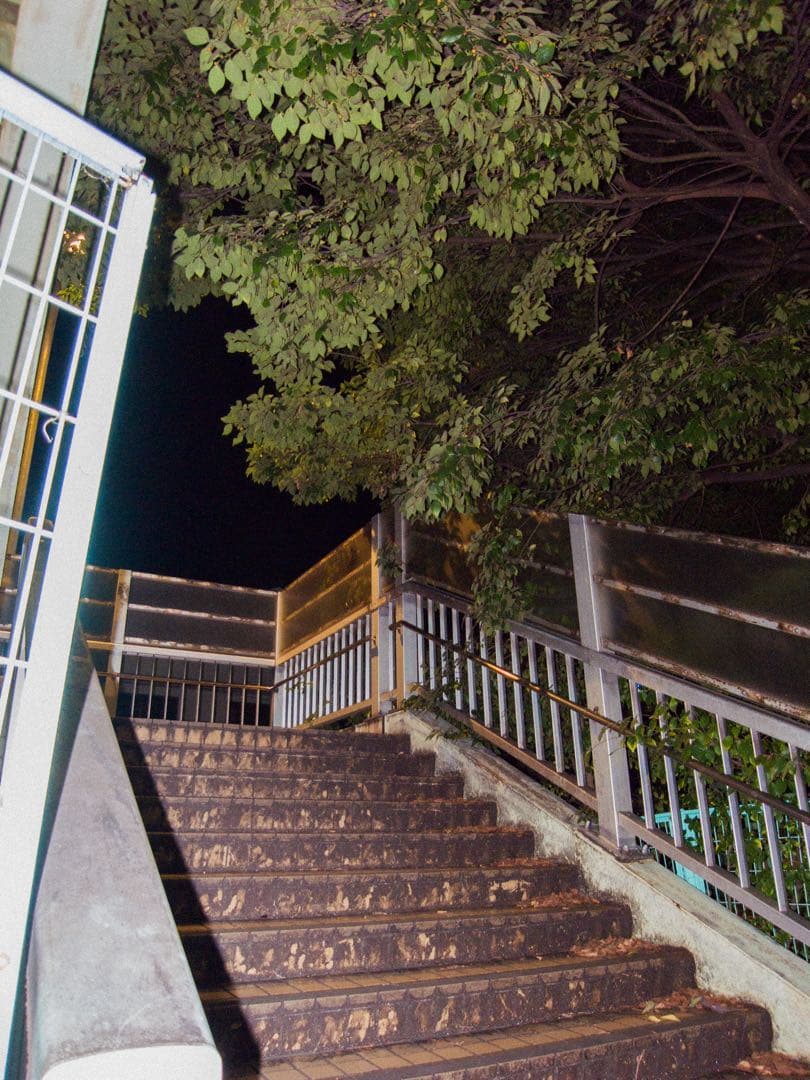 デジタルカメラ Ricoh gx200