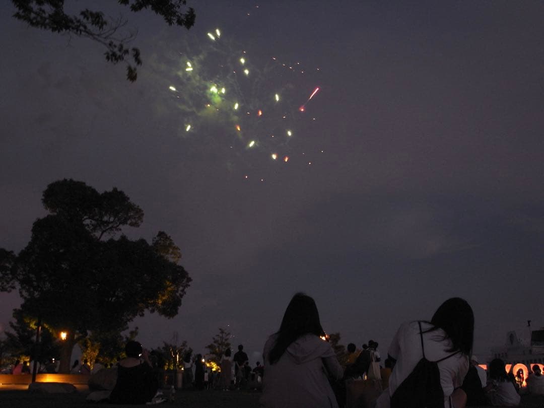 デジタルカメラ Ricoh gx200