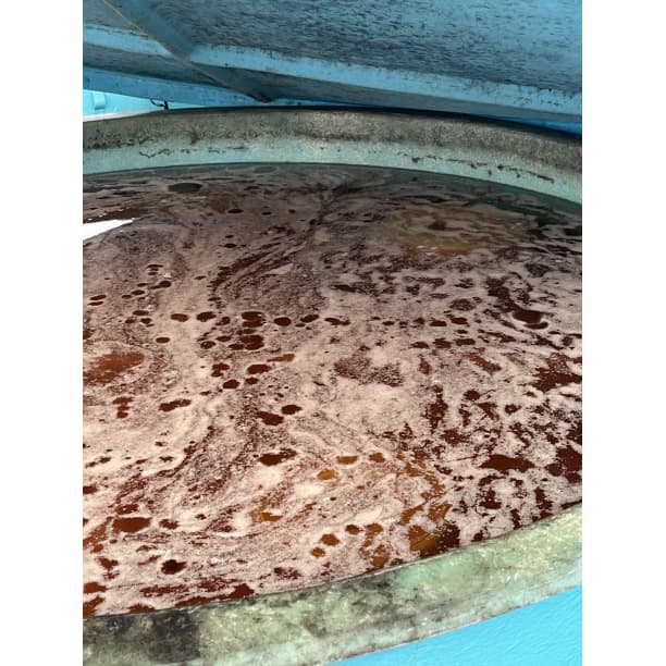 ★人気爆発！紀州南高梅 樽 10kg 梅 無添加 和歌山 紀州 白梅 0409