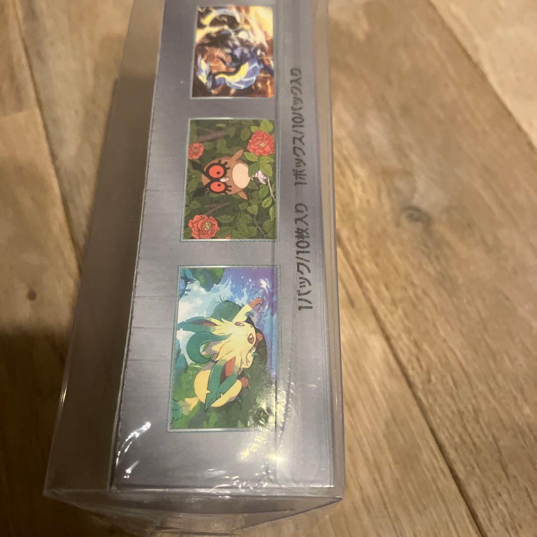 ポケモンカードゲームテラスタルフェスex