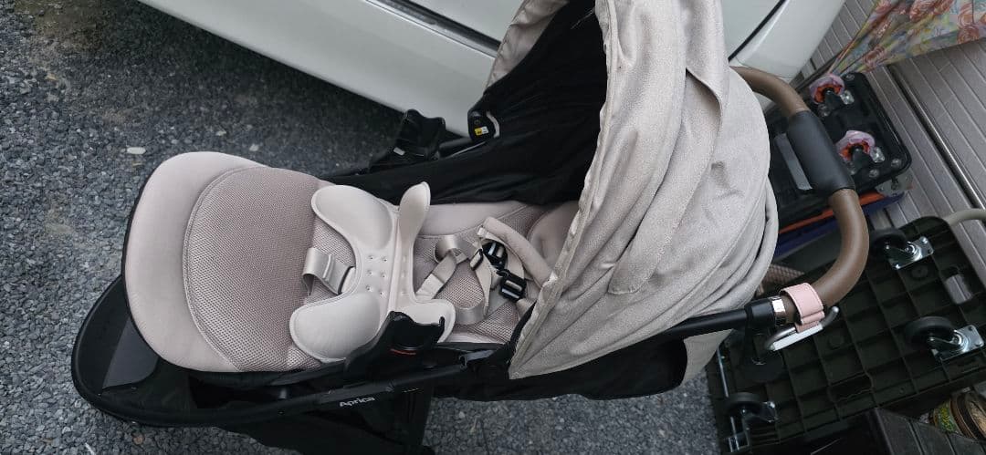 ぽめらにあん様