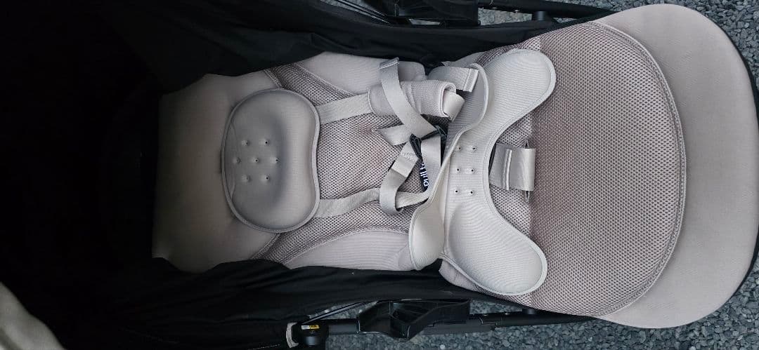 ぽめらにあん様