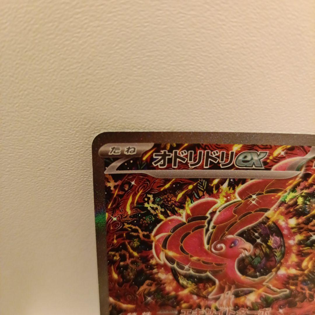 美品　オドリドリex SAR インフェルノX