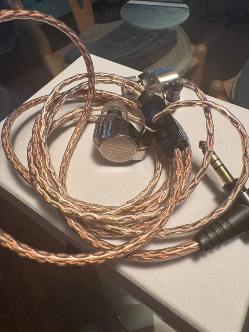 ソニー　イヤホン　SONY IER-Z1R