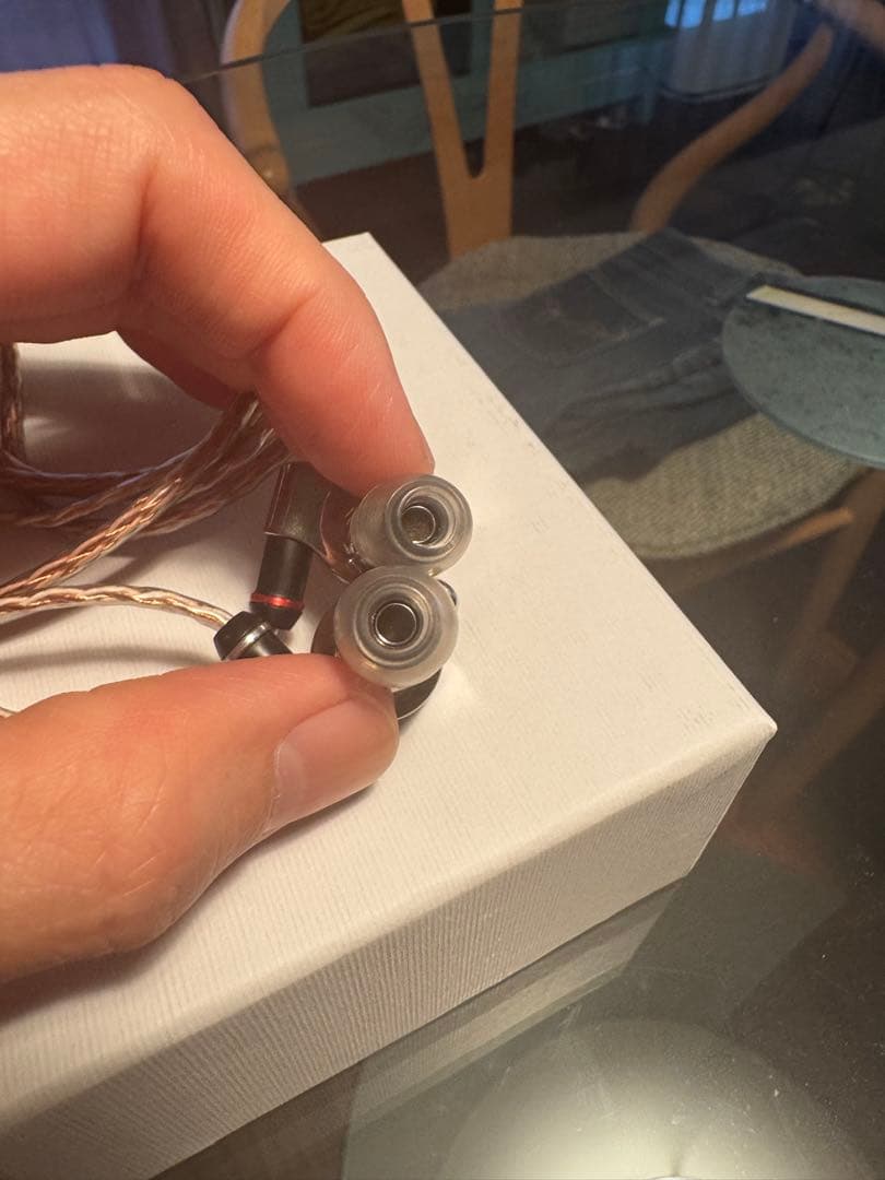 ソニー　イヤホン　SONY IER-Z1R