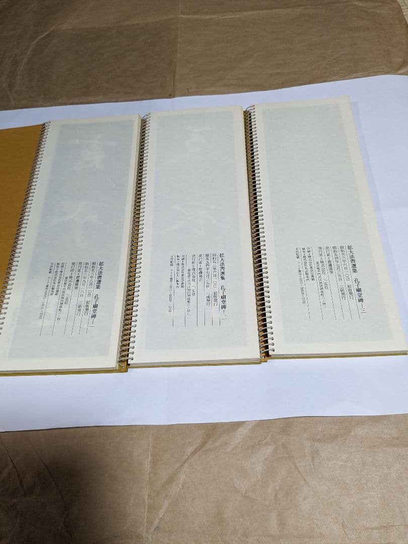 拡大法書選集５種類合計12冊