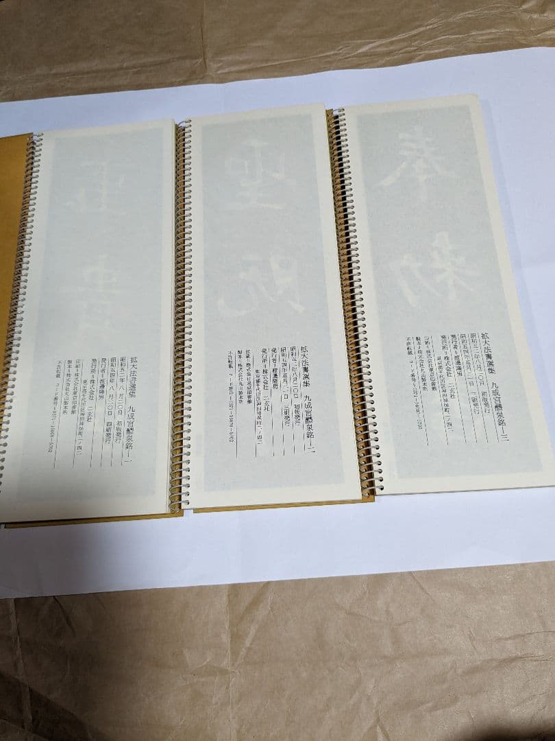 拡大法書選集５種類合計12冊