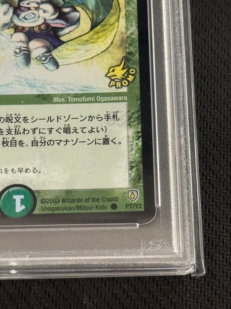 フェアリーライフ　プロモ　PSA9