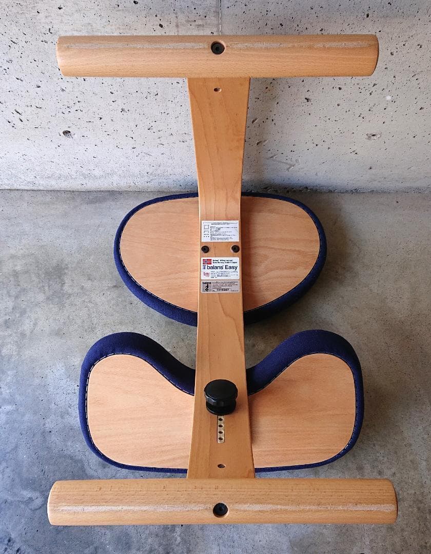 サカモトハウス バランスチェアイージー 2脚ブルー、ブラウン