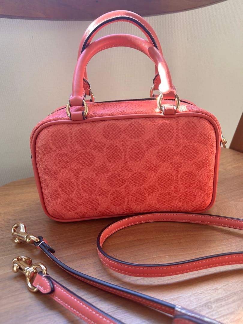 Coach×PEANUTS Lucy BAG