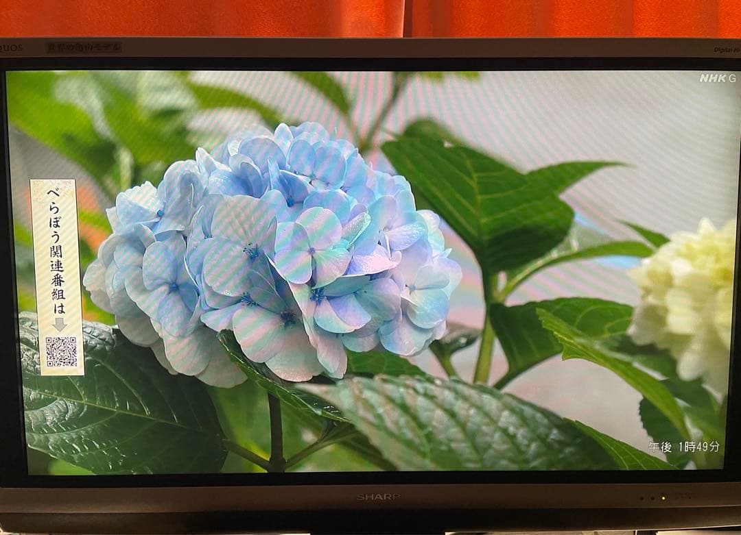 SHARP AQUOS LC-40AE6 40インチ