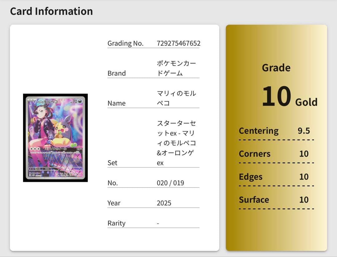 マリィのモルペコ スターターセットex 020/019 Gemix10Gold