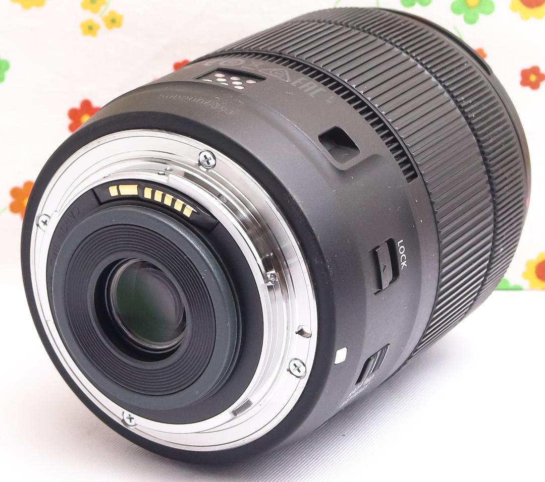 キャノン Canon EF-S 18-135mm USM☆高速・高精度なAF