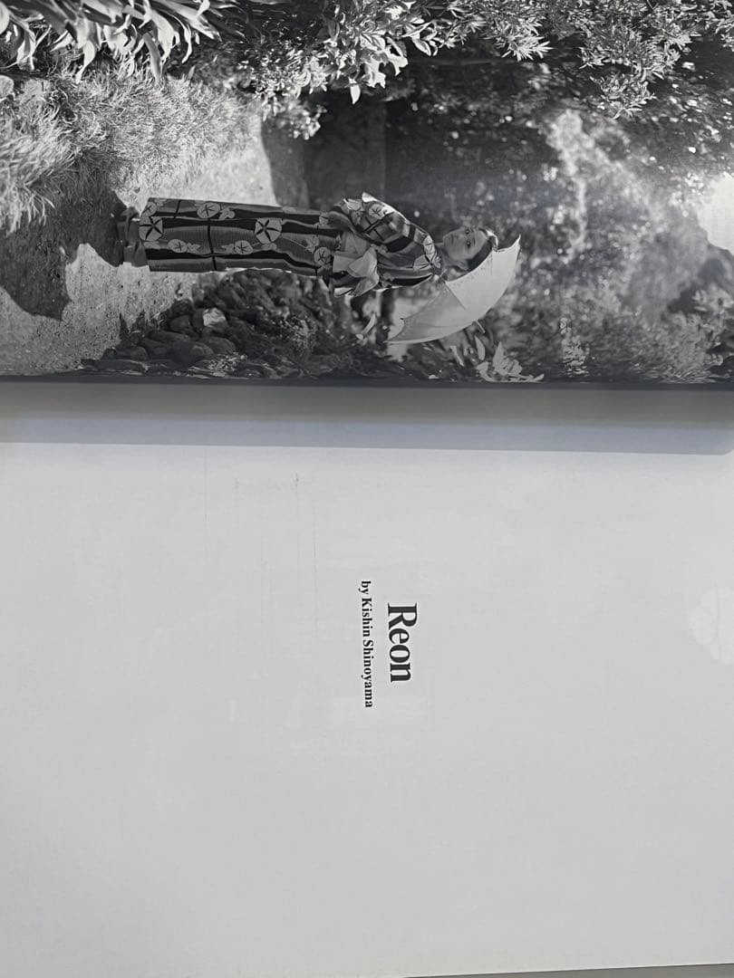 希少　PARADIS #3 2007/08 purple fashion