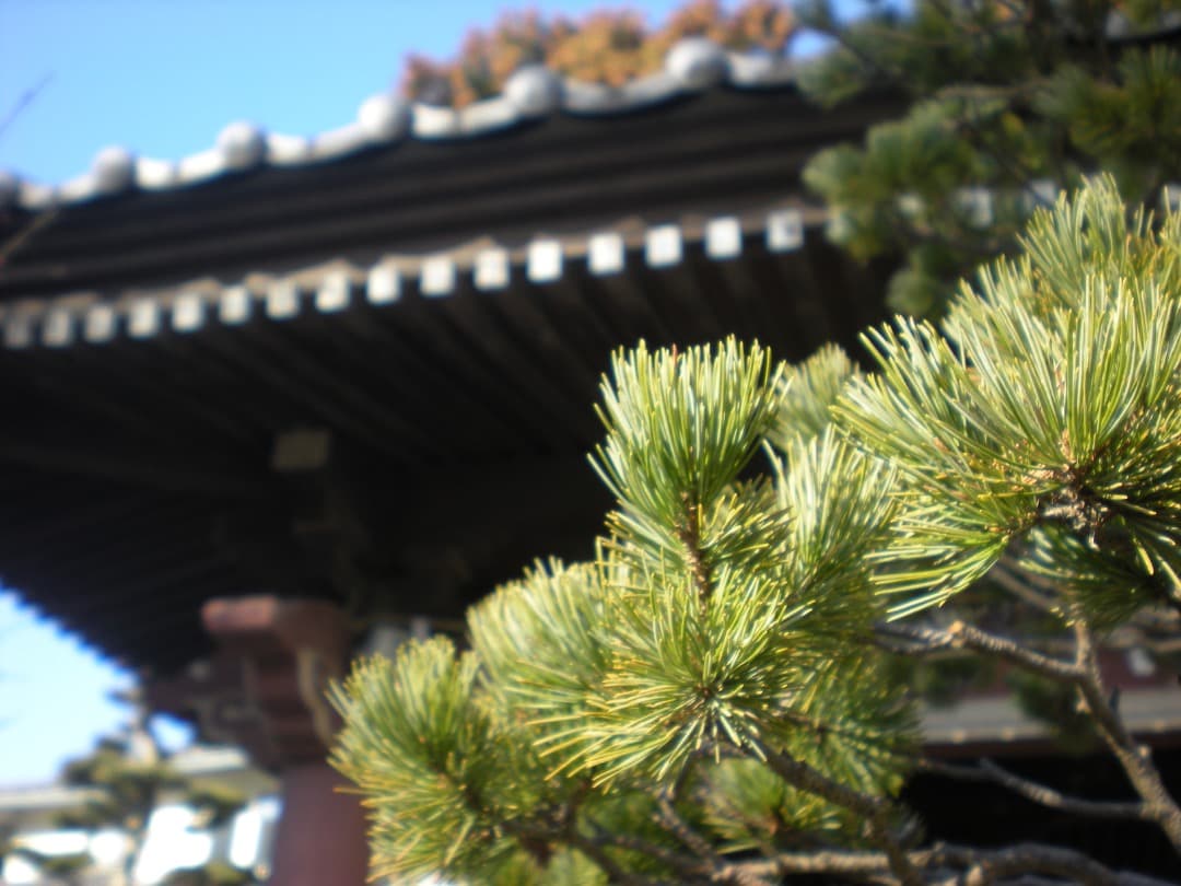 実写美⭕️外観美【動作確認済】ニコン COOLPIX S210 デジカメ