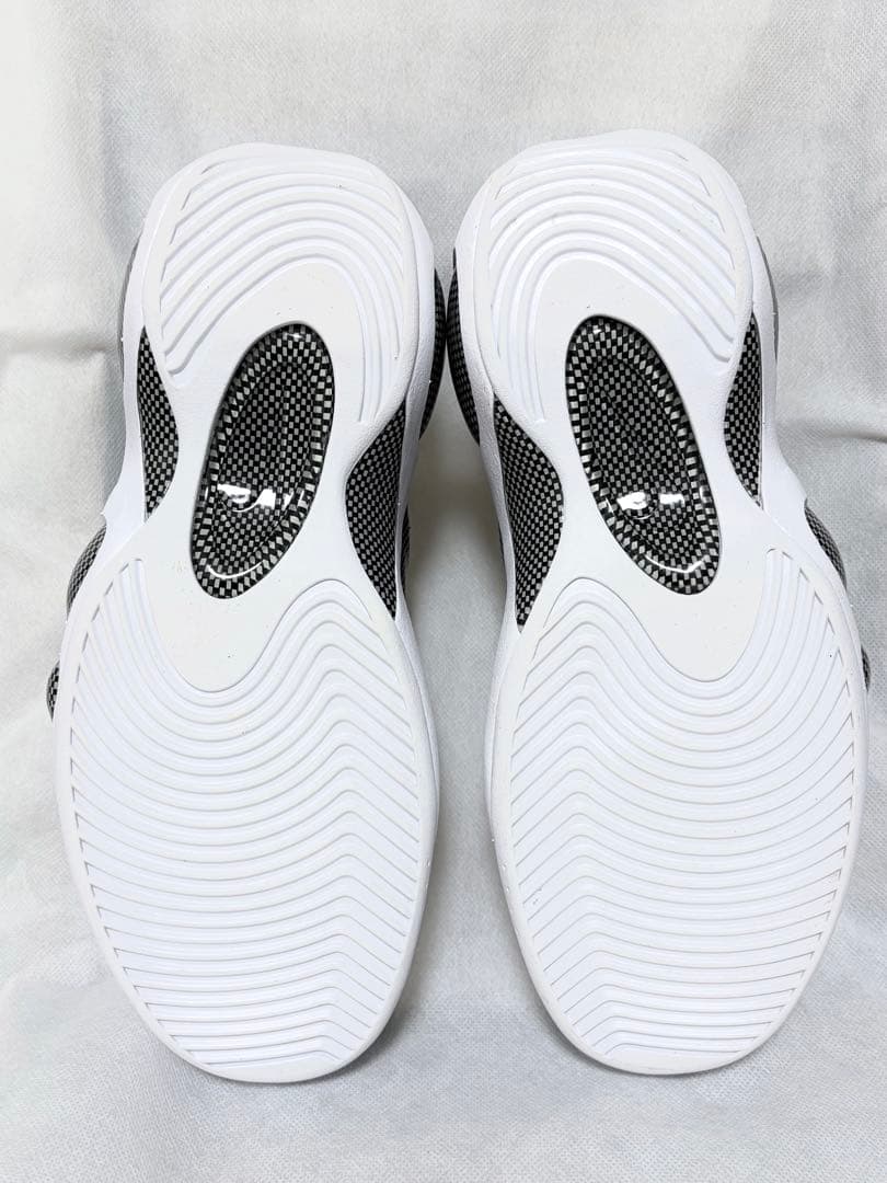 G*O様 NIKE AIR ZOOM FLIGHT 95 エアズームフライト U