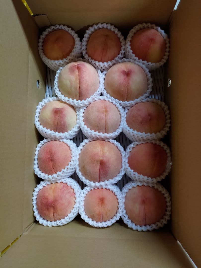 オガンパちゃん専用　特大　桃　さくら白桃　わけあり　10kg