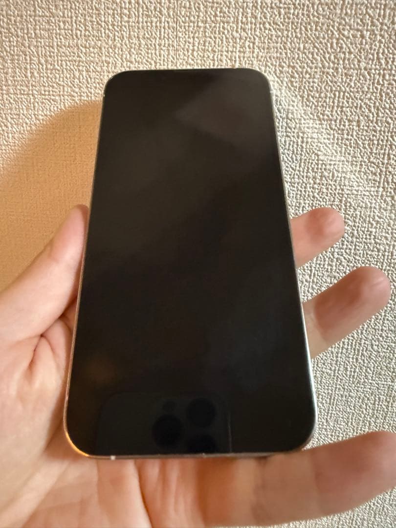 月末まで値引きiPhone 13pro 256GB SIMロックなし　美品