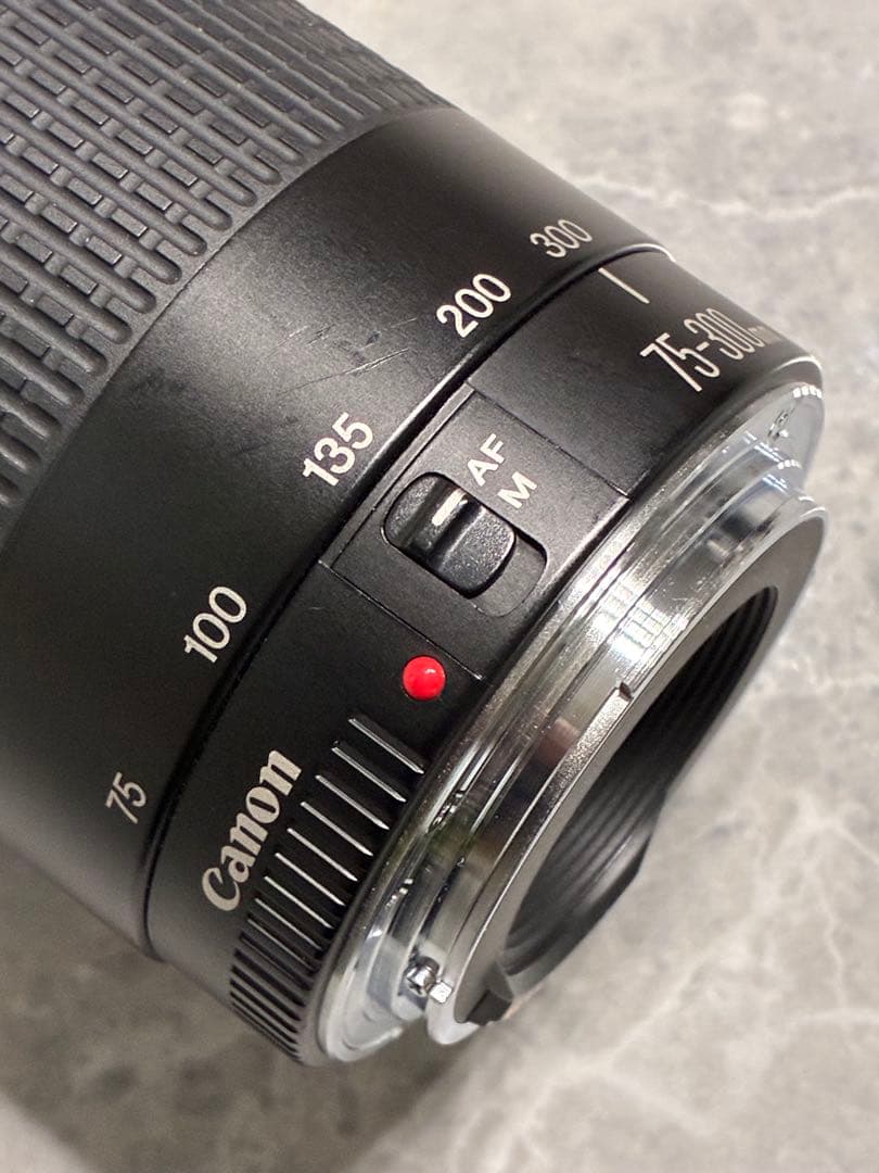⭐️美品⭐️Canon EF75-300mm F4-5.6 II USM 望遠レンズ