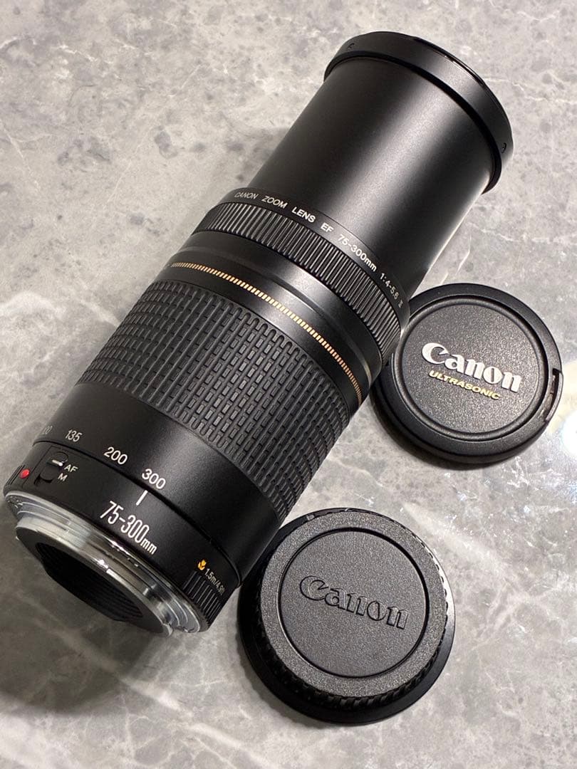 ⭐️美品⭐️Canon EF75-300mm F4-5.6 II USM 望遠レンズ