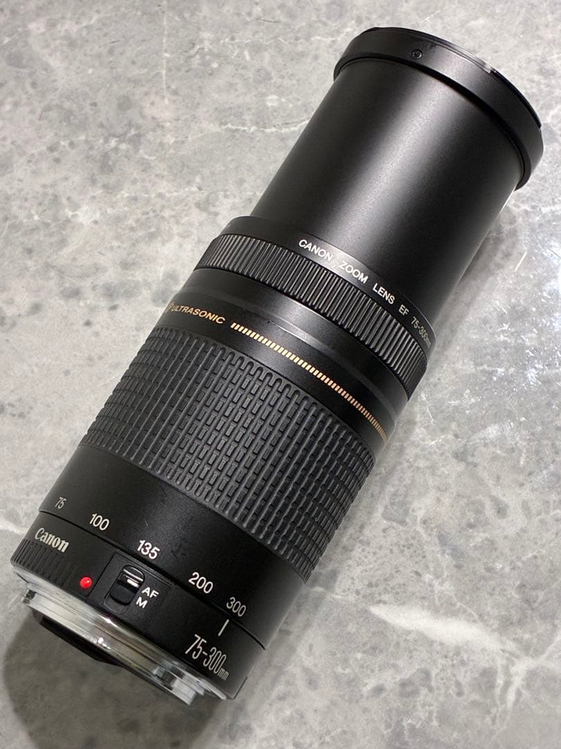 ⭐️美品⭐️Canon EF75-300mm F4-5.6 II USM 望遠レンズ