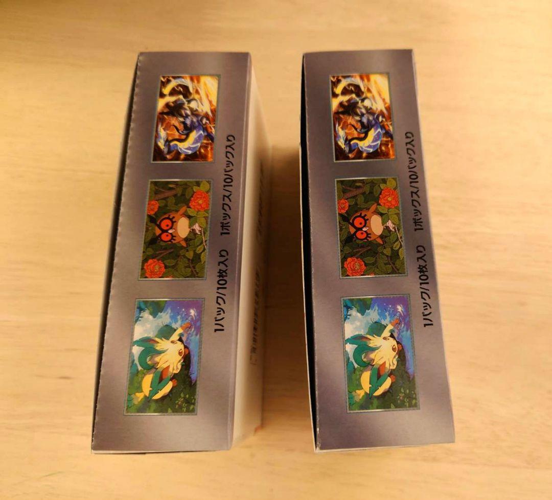 ポケモンカードゲーム　テラスタルフェスex