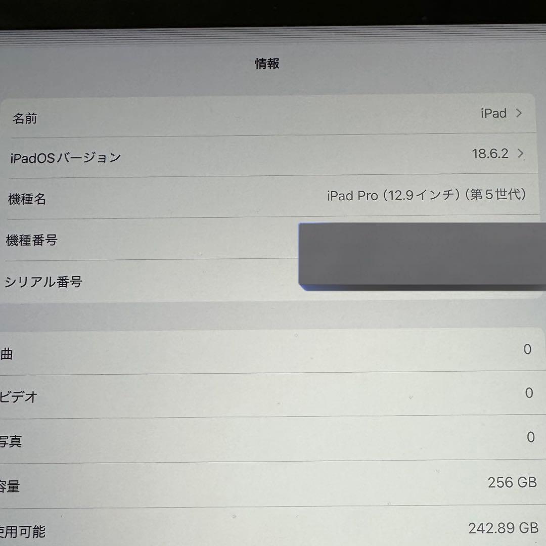 【ジャンク品】iPad Pro (12.9インチ) 第5世代 256GB
